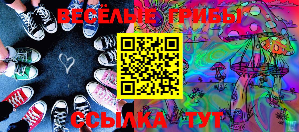 Псилоцибиновые грибы мицелий Ярославль